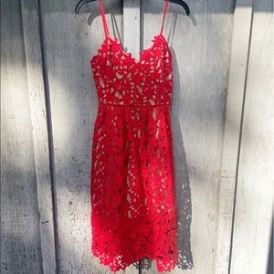Hollow Out Fit & Flare Lace Cami Dress